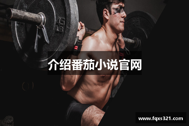 介绍番茄小说官网